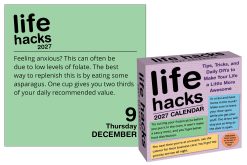 Alternative view of Life Hacks 2027 Boxed