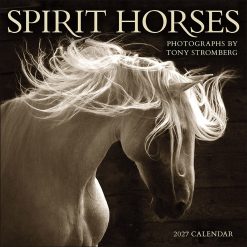Spirit Horses by Tony Stromberg 2027 Square Wall Calendar