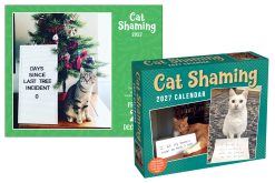 Alternative view of Cat Shaming 2027 Boxed