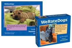 Alternative view of WeRateDogs 2027 Boxed