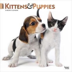 Kittens & Puppies 2027 Square FOIL