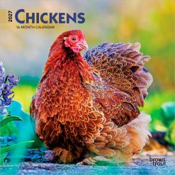 Chickens 2027 Mini