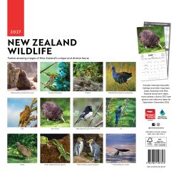 Alternative view of New Zealand Wildlife 2027 Square Wall Calendar