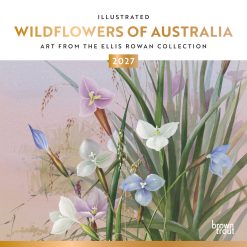 Illustrated Wildflowers of Australia 2027 Square Wall Calendar