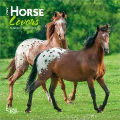 Horse Lovers 2027 Mini
