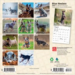 Alternative view of Blue Heelers 2027 Mini