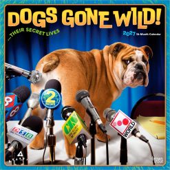 Avanti Dogs Gone Wild 2027 Square Wall Calendar