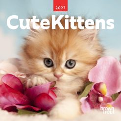 Cute Kittens 2027 Mini Square Wall Calendar