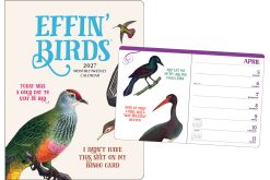 Effin' Birds 2027 Monthly/Weekly Planner Diary
