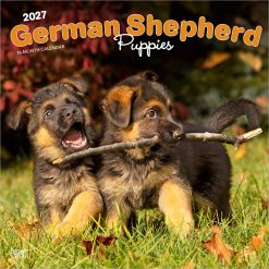 German Shepherd Puppies 2027 Square Wall Calendar