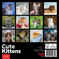 Alternative view of Cute Kittens 2027 Mini Square Wall Calendar