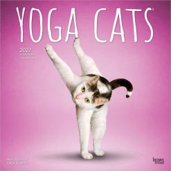 Yoga Cats 2027 Square Wall Calendar