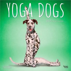 Yoga Dogs 2027 Square Wall Calendar