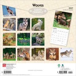 Alternative view of Wolves 2027 Square