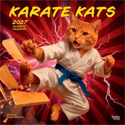 Karate Kats 2027 Square Wall Calendar