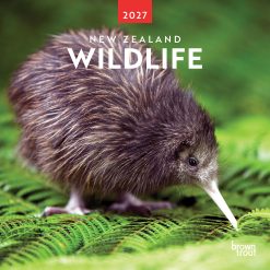 New Zealand Wildlife 2027 Square Wall Calendar