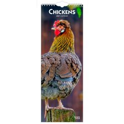 Chickens 2027 Slimline