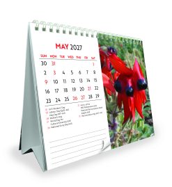 Alternative view of Australian Wildflowers - Steve Parish 2027 Double View Desk Easel Calendar