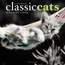 Classic Cats 2027 Square