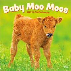 Baby Moo Moos 2027 Square