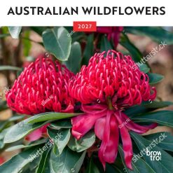 Australian Wildflowers 2027 Mini