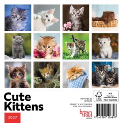 Alternative view of Cute Kittens 2027 Mini