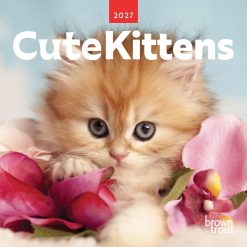 Cute Kittens 2027 Mini