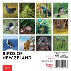 Alternative view of New Zealand Birds 2027 Mini