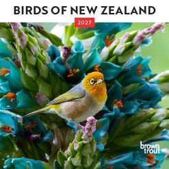 New Zealand Birds 2027 Mini
