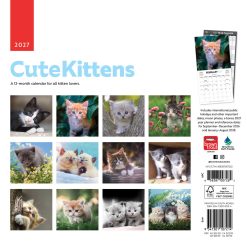 Alternative view of Cute Kittens 2027 Square