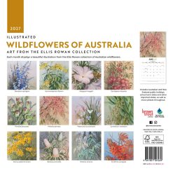Alternative view of Illustrated Wildflowers of Australia 2027 Square