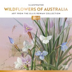 Illustrated Wildflowers of Australia 2027 Square
