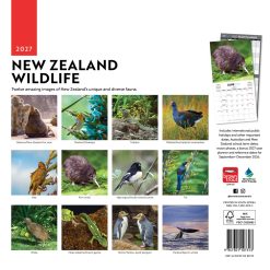 Alternative view of New Zealand Wildlife 2027 Square