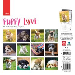 Alternative view of Puppy Love 2027 Square