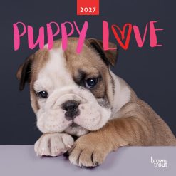 Puppy Love 2027 Square