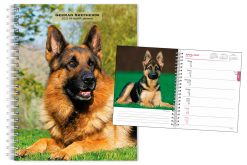 German Shepherds 2027 Engagement