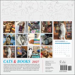Alternative view of Cats & Books 2027 Square