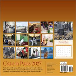Alternative view of Cats in Paris 2027 Square