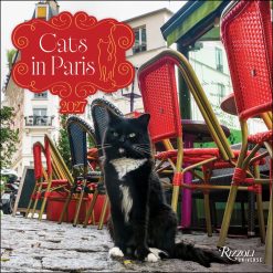 Cats in Paris 2027 Square