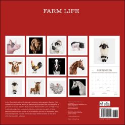 Alternative view of Farm Life 2027 Square