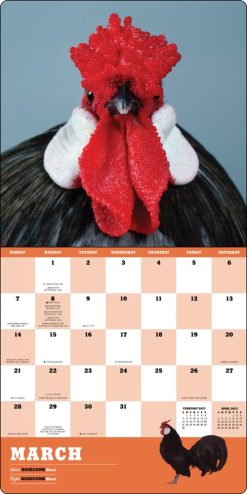 Alternative view of Extraordinary Chickens 2027 Square