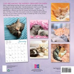 Alternative view of Cat Naps 2027 Square