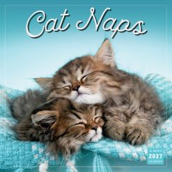 Cat Naps 2027 Square