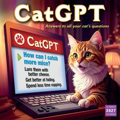 CatGPT 2027 Square