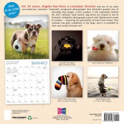 Alternative view of Dogma: A Dog's Guide to Life 2027 Square