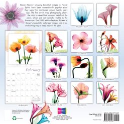 Alternative view of Flower Spirits: Radiographs of Nature by Steven N. Meyers 2027 Square