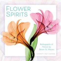 Flower Spirits: Radiographs of Nature by Steven N. Meyers 2027 Square