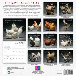 Alternative view of Glamour Chicks 2027 Square