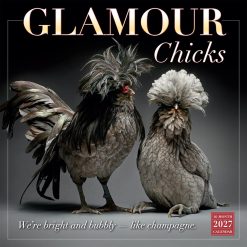 Glamour Chicks 2027 Square