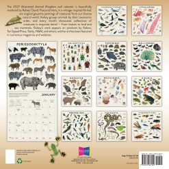 Alternative view of The Illustrated Animal Kingdom Kelsey Oseid 2027 Square